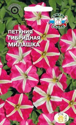 Петуния Милашка F1 низкорослая, многоцветковая в интернет гипермаркете «Планета Лета». Фото