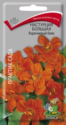 Настурция большая Коричневый блик (ЦВ) ("1) 1гр. в интернет гипермаркете «Планета Лета». Фото