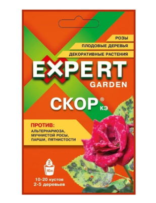 Скор КЭ, 2 мл в интернет гипермаркете «Планета Лета». Фото