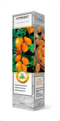 Кумкват Нагами П в интернет гипермаркете «Планета Лета». Фото