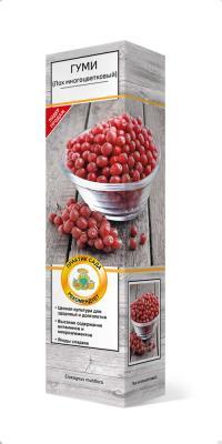 Гуми (Лох многоцветковый) Мультифлора П в интернет гипермаркете «Планета Лета». Фото