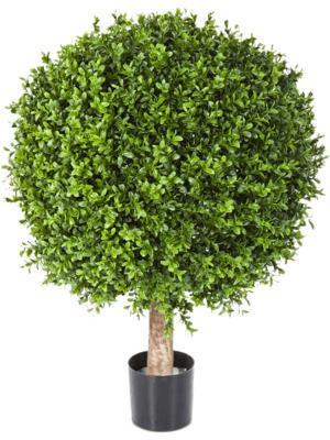 Самшит Шар уличный новый в-65, д-50х40 см 2/2 10.44550N в интернет гипермаркете «Планета Лета». Фото