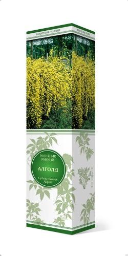 Ракитник ранний Алголд/ЦКор в интернет гипермаркете «Планета Лета». Фото