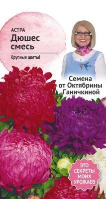 Астра Дюшес смесь 0,3 г Ганичкина в интернет гипермаркете «Планета Лета». Фото