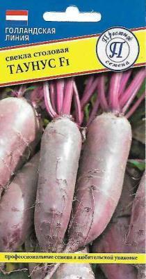 Свекла Таунус F1 в интернет гипермаркете «Планета Лета». Фото