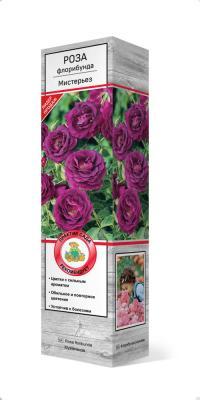 Роза флорибунда Мистерьез/ЦКор П в интернет гипермаркете «Планета Лета». Фото