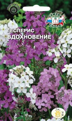Гесперис Вдохновение \ночнфиалка\ ,смесь цветов в интернет гипермаркете «Планета Лета». Фото