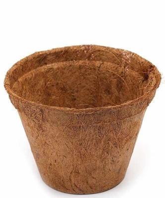Горшок кокосовый Орехнин 5 см набор 30шт 71201 в интернет гипермаркете «Планета Лета». Фото