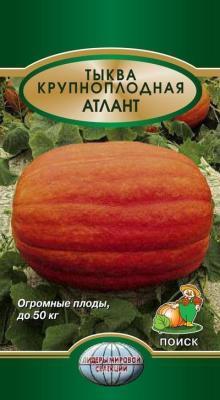 Тыква Крупноплодная Атлант (ЦВ*) 5шт. в интернет гипермаркете «Планета Лета». Фото