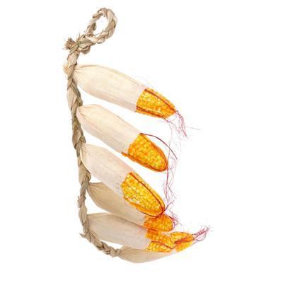 Кукуруза декоративная 50 см 265047 в интернет гипермаркете «Планета Лета». Фото