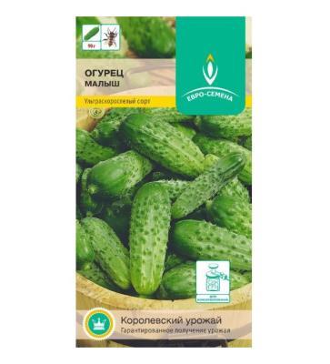 Огурец Малыш 12шт в интернет гипермаркете «Планета Лета». Фото