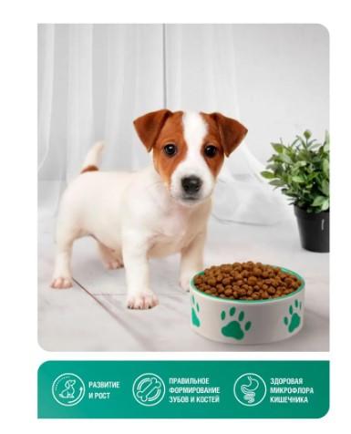 Полнорационный сухой корм для щенков Зоогурман СУПЕРПРЕМИУМ, для собак мелких и средних пород, Индей в интернет гипермаркете «Планета Лета». Фото