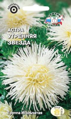 Астра Утренняя звезда игольчатая, белая в интернет гипермаркете «Планета Лета». Фото