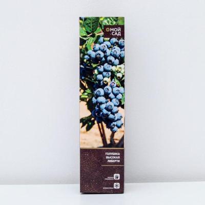 Голубика высокорослая Либерти 7Ц (туба) в интернет гипермаркете «Планета Лета». Фото