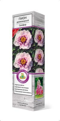 Пион древовидный Сапфир П в интернет гипермаркете «Планета Лета». Фото