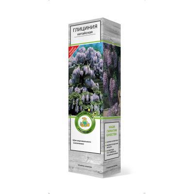 Глициния китайская/ЦКор в интернет гипермаркете «Планета Лета». Фото