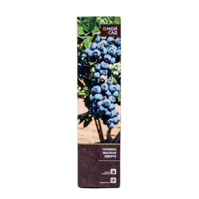 Голубика высокорослая Нельсон П в интернет гипермаркете «Планета Лета». Фото