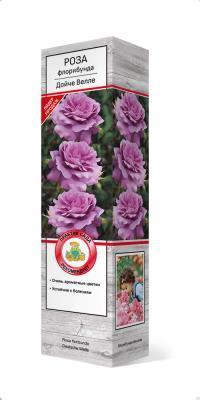 Роза флорибунда Дойче Велле П в интернет гипермаркете «Планета Лета». Фото