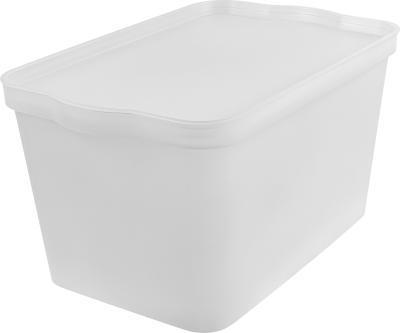 Ящик для хранения Keeplex Trendy 24 л 45,2х29,8х24,4 см матовый кристалл в интернет гипермаркете «Планета Лета». Фото