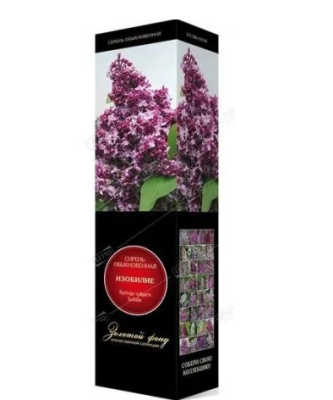 Сирень обыкновенная в коробке в интернет гипермаркете «Планета Лета». Фото