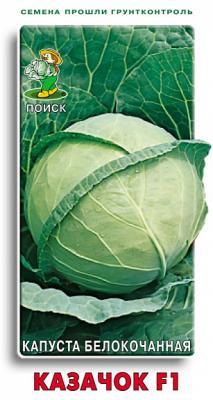 Капуста белокочанная Казачок F1 (ЦВ) 0,2гр. в интернет гипермаркете «Планета Лета». Фото