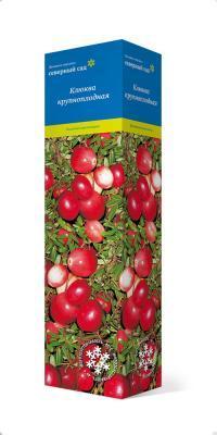 Клюква крупноплодная Пилигрим П в интернет гипермаркете «Планета Лета». Фото