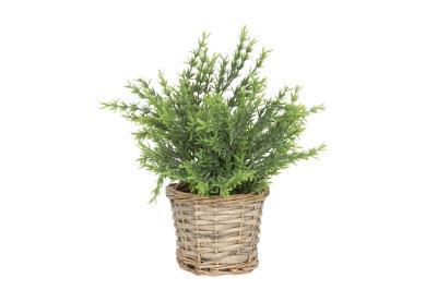 Растение искусственное в горшке 22х14х28 см 317220090 в интернет гипермаркете «Планета Лета». Фото