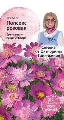 Космея Попсокс розовая 10шт