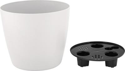 Горшок с дренажной вставкой InGreen Vienna D250мм, 9л, круглый, белоснежный жасмин в интернет гипермаркете «Планета Лета». Фото