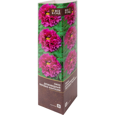 Пион древовидный Лиловая Фантазия (в тубе) в интернет гипермаркете «Планета Лета». Фото