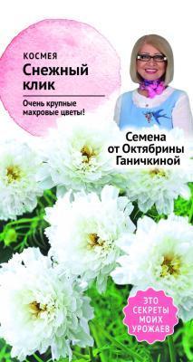 Космея Снежный клик 0,1 гр Ганичкина