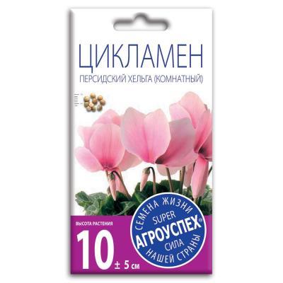 Цикламен Хельга 3 шт в интернет гипермаркете «Планета Лета». Фото