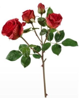 Роза Флорибунда ветвь красная 3цв, 1бут в-60 см 12/48 30.0610053RD в интернет гипермаркете «Планета Лета». Фото