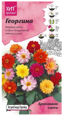 Георгина Бронзовая смесь для бордюра 0,1 г АСТ в интернет гипермаркете «Планета Лета». Фото