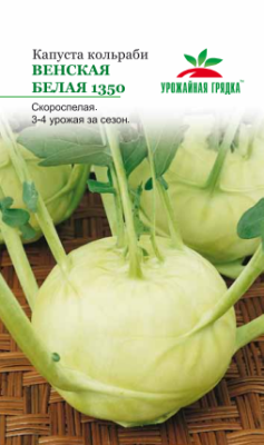 Капуста Венская белая 1350 (КОЛЬ). МФ, 0,5 в интернет гипермаркете «Планета Лета». Фото