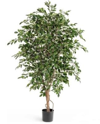 Фикус Фолиа 130 см в интернет гипермаркете «Планета Лета». Фото