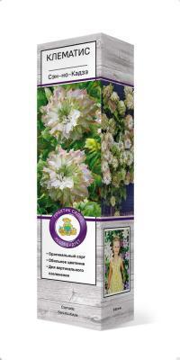 Клематис крупноцветковый Сэн-но-Кадзэ/ЦКор в интернет гипермаркете «Планета Лета». Фото