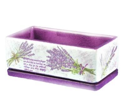 Горшок Кактусник 24*12/h9см  1,4л NK0202 в интернет гипермаркете «Планета Лета». Фото