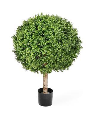 Самшит Шар уличный новый в-85, д-65х55 см 2/2 10.44570N НОВЫЙ в интернет гипермаркете «Планета Лета». Фото