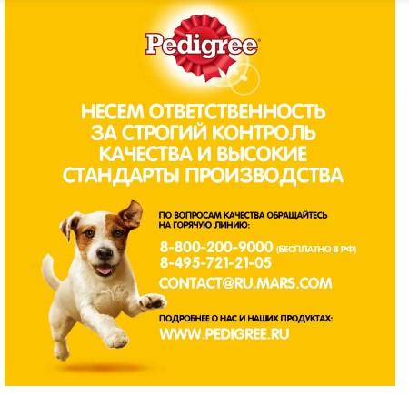 Сухой корм для собак маленьких пород Pedigree Жизненная энергия, с говядиной, 600 г в интернет гипермаркете «Планета Лета». Фото