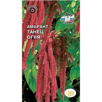 Амарант Танец огня хвостатый в интернет гипермаркете «Планета Лета». Фото