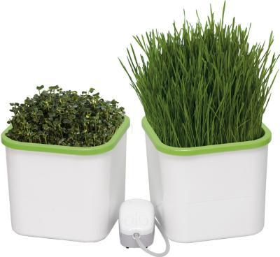 Двухмодульный проращиватель Здоровья клад в интернет гипермаркете «Планета Лета». Фото