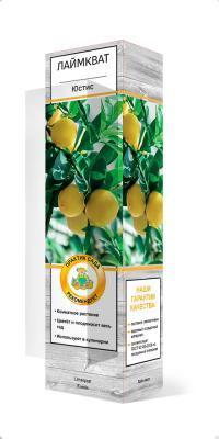 Лаймкват Юстис П в интернет гипермаркете «Планета Лета». Фото