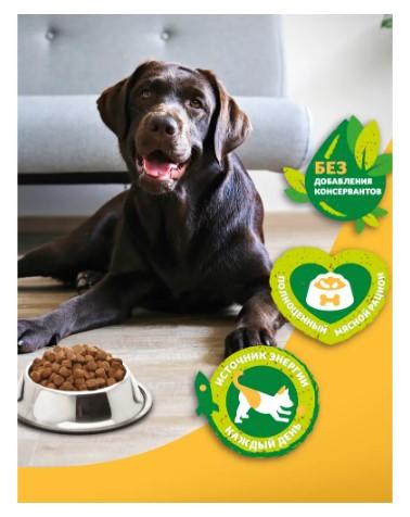 Полнорац. сухой корм д/взрослых собак Zoogurman, Jolly Dog Мясное ассорти 3кг в интернет гипермаркете «Планета Лета». Фото