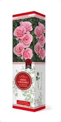 Роза флорибунда Квин Элизабет П в интернет гипермаркете «Планета Лета». Фото
