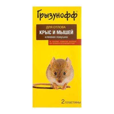 Грызунофф Клеевая ловушка-домик от грызунов в пакете Грызунофф в интернет гипермаркете «Планета Лета». Фото Грызунофф Клеевая ловушка-домик от грызунов в пакете в интернет гипермаркете «Планета Лета». Фото