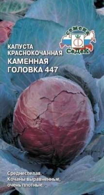 Капуста краснокач Каменная головка 447 в интернет гипермаркете «Планета Лета». Фото