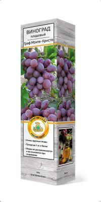 Виноград плодовый Граф Монте-Кристо/ЦКор П в интернет гипермаркете «Планета Лета». Фото