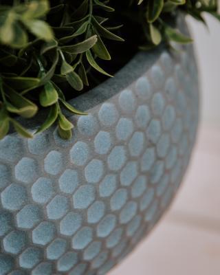 Кашпо IDEALIST Ханни Чаша с подставкой, серое, d27.5 h25, HON-G-27 в интернет гипермаркете «Планета Лета». Фото