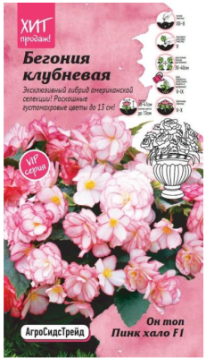 Бегония клубневая ОН ТОП Пинк хало 6 шт АСТ в интернет гипермаркете «Планета Лета». Фото